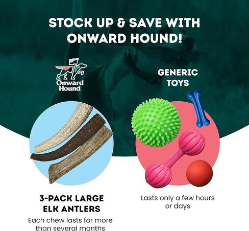 قرون Onward Hound Elk للكلاب الكبيرة - الصف أ، لم يتم الإساءة إلى الحيوانات في تصنيعها، قرون طويلة الأمد للكلاب - منبه الشهية، القضاء على الملل للكلاب - لعبة مضغ للكلاب بطول 7 بوصات للكلاب التي يتراوح وزنها بين 30 و65 رطلًا in Kuwait