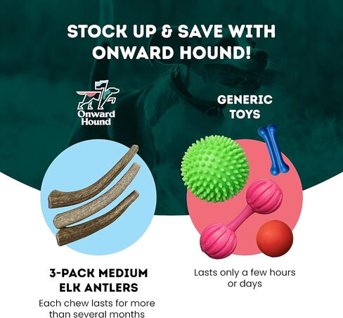 قرون Onward Hound Elk للكلاب الكبيرة - الصف أ، لم يتم الإساءة إلى الحيوانات في تصنيعها، قرون طويلة الأمد للكلاب - منبه الشهية، القضاء على الملل للكلاب - لعبة مضغ للكلاب بطول 7 بوصات للكلاب التي يتراوح وزنها بين 30 و65 رطلًا in Kuwait