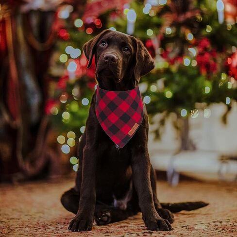 ADOGGYGO Christmas Dog Bandanas 2 Pack, Premium Cotton Fabric, Multiple Sizes Offered, Red Green Plaid Bandanas for Medium Large Dogs (Large, Xmas) in Saudi Arabia