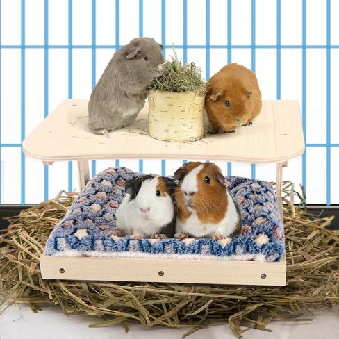 مخبأ خنزير غينيا من Upspotie - سرير خشبي طبيعي صغير لبيت الحيوانات مع سلالم وحصيرة، موائل كوخ صغير للحيوانات الأليفة قابل للفصل لأقفاص خنزير غينيا الهامستر والأرنب الشنشيلا in Kuwait