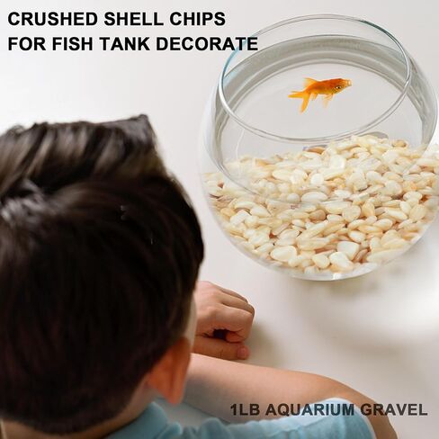 Amethyst Chips Tumbled Crystal Stone 0.95lb Natural Irregular Shaped Crushed Quartz Stone for Vase Filler Aquarium Healing Stones Home and Office Desktop Decorative Gravel in Saudi Arabia