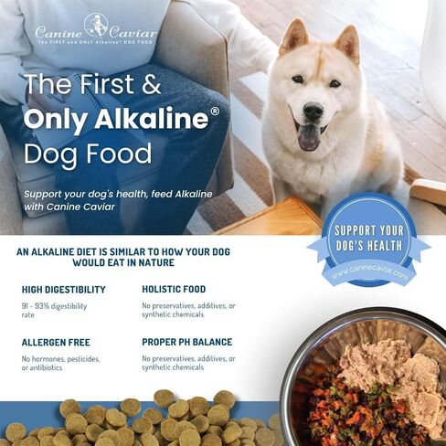طعام الكلاب من Canine Caviar Open Sky - طعام الكلاب القلوي الشامل ذو المكونات المحدودة - جميع مراحل الحياة - خالي من الغلوتين، طعام الكلاب فائق الجودة - بشرة ومعطف صحي - البط والكينوا - 22 رطلاً in Kuwait