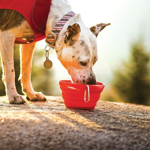 Kurgo Collapsible Travel Dog Bowl, Pet Food & Hiking Water Bowl, Food Grade Silicone Bowl for Dogs, Travel Accessories for Pets, BPA Free, Collaps a Bowl, Mash n’ Stash, Zippy Bowl in Saudi Arabia