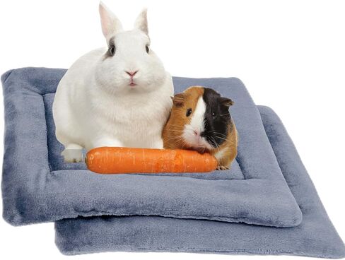 عبوة من قطعتين من وسادة سرير خنزير غينيا الفخمة من REEZEIVI، مرتبة سرير حيوانات صغيرة ناعمة قابلة للغسل، سرير هامستر أرنب شبكي هوائي قابل للتنفس، سرير خنزير غينيا الصغير سهل التنظيف وسريع الجفاف in Kuwait