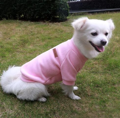 Small Dog Sweater Dog Sweatshirts for Small Dogs Chihuahua Clothes, Warm and Lightweight, with a Soft Texture, Easy to Wear and Bright Colors (Blue, X-Small) in Kuwait