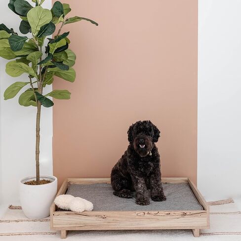 Signature Design by Ashley Piperton Modern Wooden Pet Bed, 36" W x 24" D x 8" H, Natural Beige in Saudi Arabia