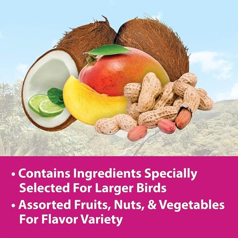 Kaytee Fiesta Big Bites - Macaw 10 lb in Saudi Arabia