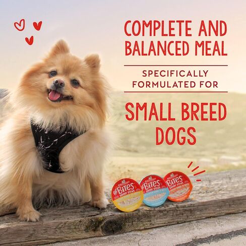 Stella & Chewy's Lil Bites Savory Stews for Small Breeds Beef & Chicken Dinner in Broth, 2.7 oz. Cups (Pack of 12) in Saudi Arabia