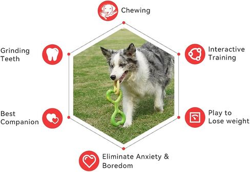 HQJFPETYZ قطعتان من ألعاب الكلاب شديدة التحمل للمضغ العدواني، ألعاب الكلاب القوية غير القابلة للتدمير، ألعاب مضغ متينة للكلاب من المطاط الطبيعي، لعبة شد الحبل لألعاب تنظيف أسنان الكلاب الصغيرة إلى المتوسطة الحجم in Saudi Arabia