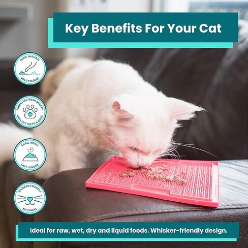 LickiMat Classic Playdate, Cat Slow Feeder Lick Mat, Boredom anxiety reducer; Perfect for Food, Treats, Yogurt, or Peanut Butter. Fun Alternative to a Slow Feed Cat Bowl or Dish, Green in Kuwait