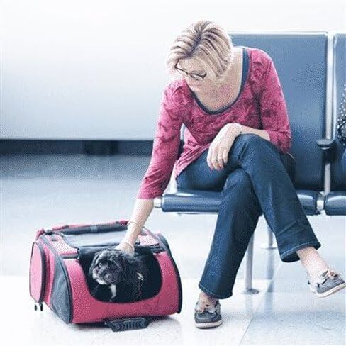 حاملة الكلاب من Gen7Pets - حقيبة دوارة حمراء متوسطة الحجم لحمل الحيوانات الأليفة in Kuwait