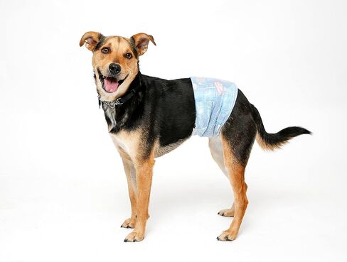 Hartz Disposable Male Dog Wraps, Size S 40 count, Comfortable & Secure Fit, Easy to Put On in Saudi Arabia