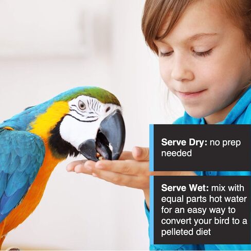 Tropimix Bird Food for Budgies, Canaries and Finches, Hagen Parrot Food with Seeds, Egg, Fruits and Vegetables, Egg Food Mix, 6.53 oz Bag in Kuwait