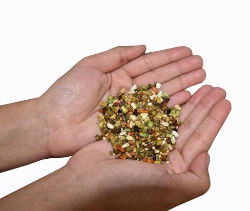 Birds LOVE All Natural Garden Blend Bird Food for Small Birds - Lovebirds, Cockatiels, Parakeets and Parrotlets 2lb in Saudi Arabia
