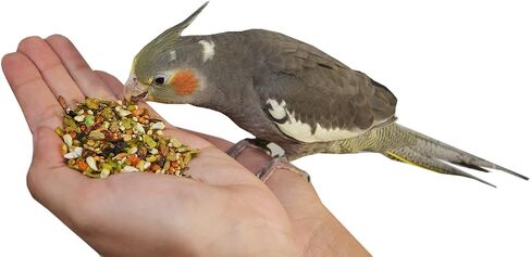 Birds LOVE All Natural Garden Blend Bird Food for Small Birds - Lovebirds, Cockatiels, Parakeets and Parrotlets 2lb in Saudi Arabia