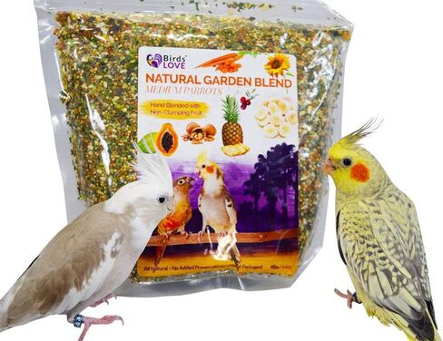 Birds LOVE All Natural Garden Blend Bird Food for Small Birds - Lovebirds, Cockatiels, Parakeets and Parrotlets 2lb in Saudi Arabia