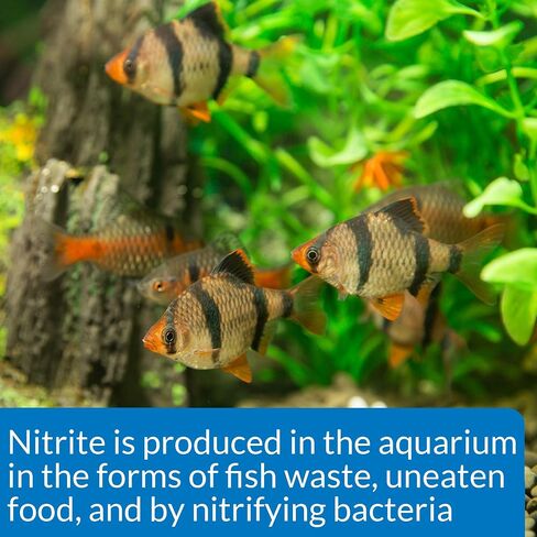 API NITRATE 90-Test Freshwater and Saltwater Aquarium Water Test Kit in Kuwait