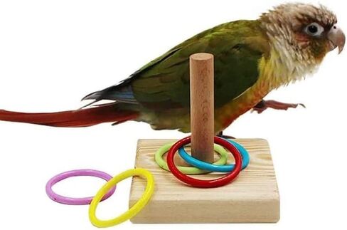 Bird Colorful Bells Chew Toy Making Kits DIY Accessory for Parrot Parakeet Cockatiel Budgie Conure Lovebird Canary Finch African Grey (20 PCS) … in Kuwait