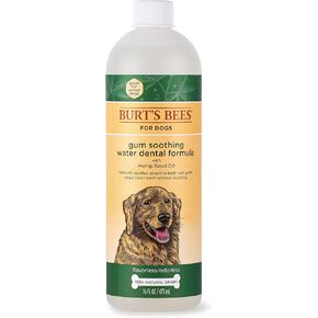 بيرت بيز للعناية بالحيوانات الأليفة + ماء مهدئ لثة الأسنان مع زيت بذور القنب، 16 أونصة سائلة | مادة مضافة للمياه عديمة النكهة والرائحة للعناية بالأسنان، مادة مضافة للمياه للكلاب in Kuwait