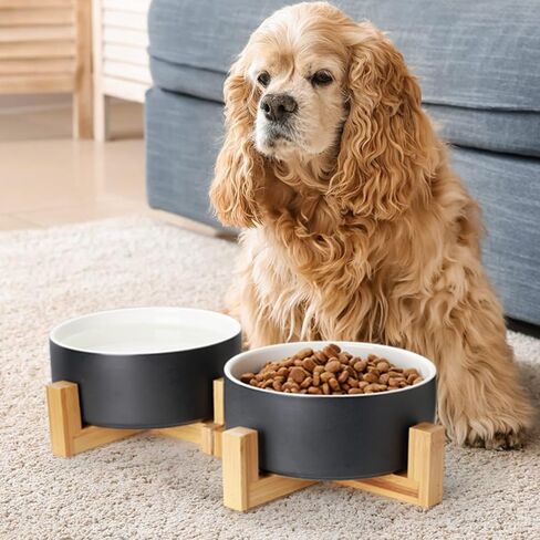 Y YHY Ceramic Dog and Cat Bowl Set, 24oz Dog Food Water Bowls with Wooden Stand, Modern Cute Weighted Pet Bowls Set for Small Size Dogs & Medium Sized Dogs & Cats - Dishwasher Safe in Kuwait