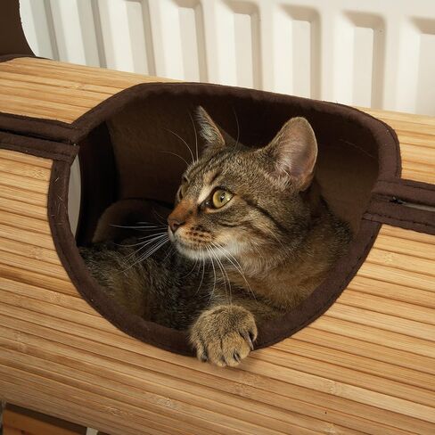 Bamboo Cat Furniture Radiator Bed in Kuwait