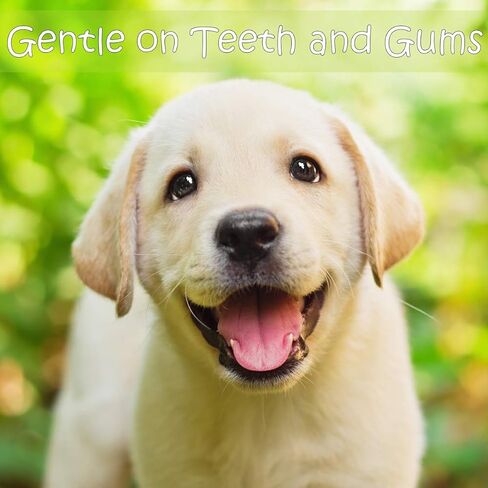 كتاب اوترلي بيتس فرش اسنان للكلاب للسلالات الصغيرة الى الكبيرة والجراء والكلاب للعناية بالاسنان اللطيفة (عبوة من 7 قطع) in Kuwait