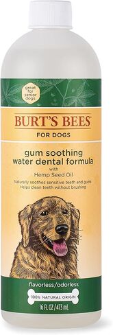 بيرت بيز للعناية بالحيوانات الأليفة + ماء مهدئ لثة الأسنان مع زيت بذور القنب، 16 أونصة سائلة | مادة مضافة للمياه عديمة النكهة والرائحة للعناية بالأسنان، مادة مضافة للمياه للكلاب in Kuwait