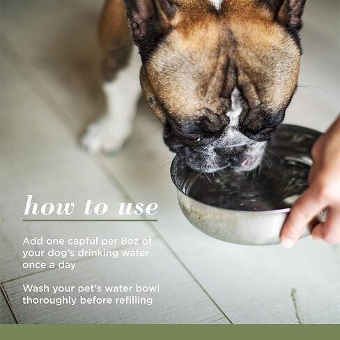 بيرت بيز للعناية بالحيوانات الأليفة + ماء مهدئ لثة الأسنان مع زيت بذور القنب، 16 أونصة سائلة | مادة مضافة للمياه عديمة النكهة والرائحة للعناية بالأسنان، مادة مضافة للمياه للكلاب in Kuwait