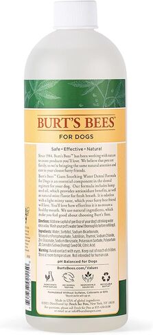 بيرت بيز للعناية بالحيوانات الأليفة + ماء مهدئ لثة الأسنان مع زيت بذور القنب، 16 أونصة سائلة | مادة مضافة للمياه عديمة النكهة والرائحة للعناية بالأسنان، مادة مضافة للمياه للكلاب in Kuwait