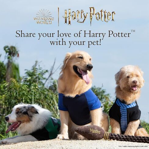 HARRY POTTER Harry Potter: Gryffindor Pet Hoodie with Faux Scarf - X-Small | Accessories for Dogs| Dog Accessories for Hogwarts Houses, Gryffindor, Black (FF23352) in Saudi Arabia