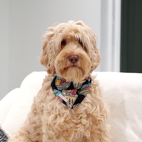 BARKLOOM Dog Bandana - Arizona Detour Set - Black & White Dog Outfit with Adventure & Cactus Themes - Elegant Dog Accessories for Your Beloved Pet- Pack of 2 in Saudi Arabia