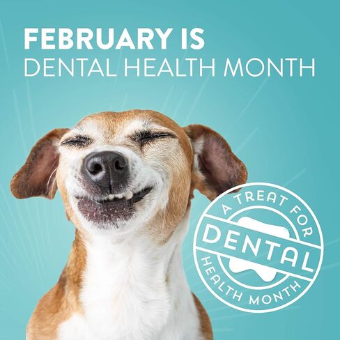 Dogswell Dental Chicken Jerky 12 Ounce in Kuwait