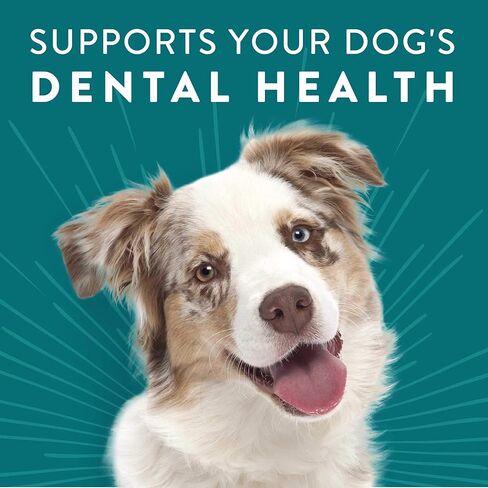 Dogswell Dental Chicken Jerky 12 Ounce in Kuwait