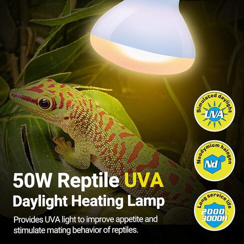 REPTI ZOO Reptile Heat Lamp, 2 Pack 50W Daylight Basking Spot Lamp for Reptiles UVA Daylight Heating Lamp Bulb Basking Light for Bearded Dragon, Tortoise, Geckos, Chicken in Kuwait
