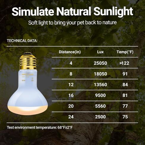 REPTI ZOO Reptile Heat Lamp, 2 Pack 50W Daylight Basking Spot Lamp for Reptiles UVA Daylight Heating Lamp Bulb Basking Light for Bearded Dragon, Tortoise, Geckos, Chicken in Kuwait