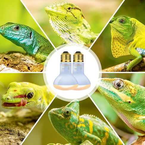REPTI ZOO Reptile Heat Lamp, 2 Pack 50W Daylight Basking Spot Lamp for Reptiles UVA Daylight Heating Lamp Bulb Basking Light for Bearded Dragon, Tortoise, Geckos, Chicken in Kuwait