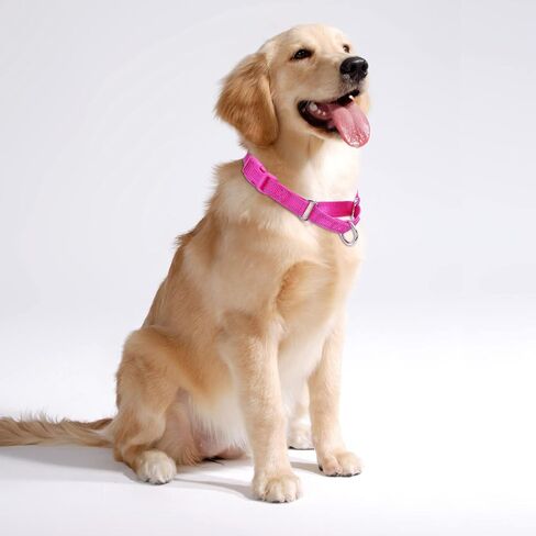 أطواق الكلاب Pimaodog Martingale - طوق كلب عاكس مع مشبك سريع التحرير قابل للتعديل من النايلون لتدريب الكلاب الصغيرة والمتوسطة والكبيرة (S، وردي فاقع) in Kuwait