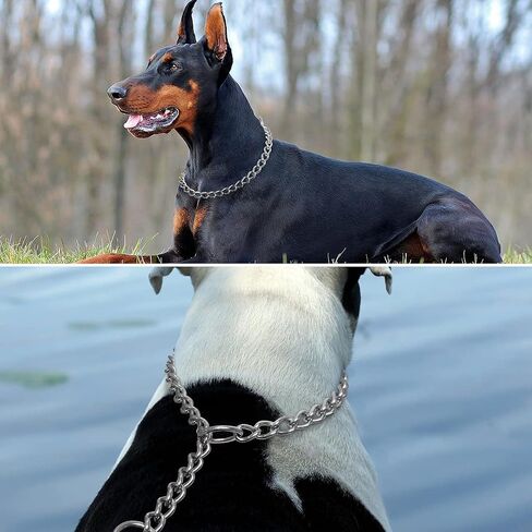 TagME Chain Choke Collar for Dogs, No Pull Slip Training for Medium Dogs in Kuwait