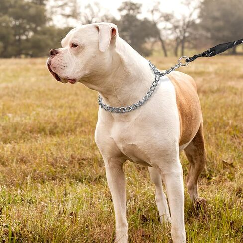 TagME Chain Choke Collar for Dogs, No Pull Slip Training for Medium Dogs in Kuwait
