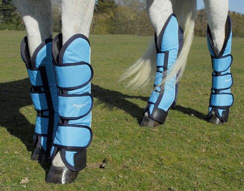 Rhinegold Elite Full Length Travel Boots - Set of 4 in Kuwait