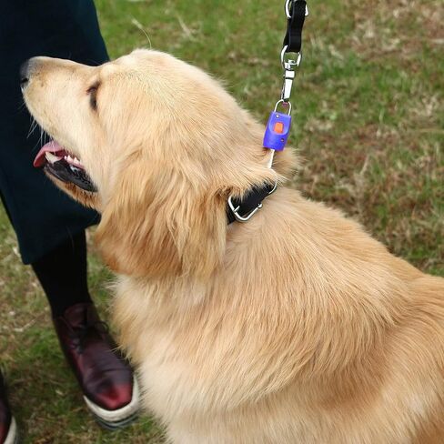 Ranphy Dog Leash Connector Automatic Magnetic Magic Latch with Fastener One Touch Connection and Release Harness Collar Stainless for Outdoor Walking Training Black in Kuwait