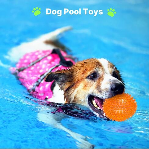 Ammbeetty 4 Packs 2.56" Squeaky Dog Toys for Small Medium Dogs, Dog Toys Balls for Boredom and Stimulating, Puppy Chew Toys for Teething and Durable Interactive Dog Toys, Safe TPR Material in Saudi Arabia