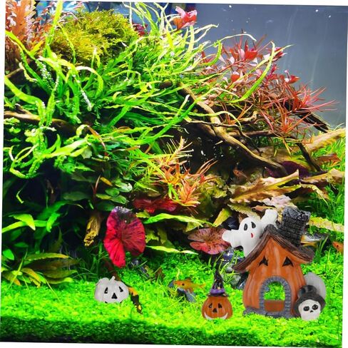 باتكاو 5 قطع/مجموعة حوض السمك ديكور الهالوين بيتا ديكور حوض السمك ديكور حوض السمك ديكور حوض السمك ديكور حوض السمك الاصطناعي ديكور حوض السمك الراتنج زخرفة حوض السمك in Kuwait