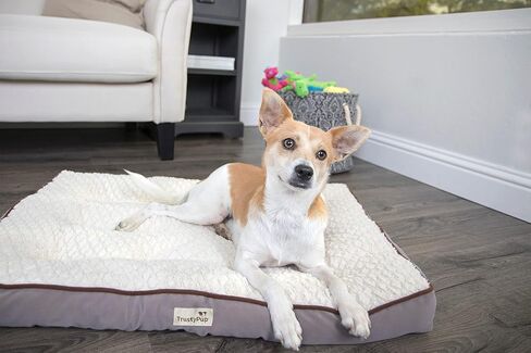 Dura Mat Tufted Pillow Pet Bed, Easy to Clean - Gray, Large, Dura Mat (Gray), 36.0" L x 27.0" W x 5.0" Th in Kuwait