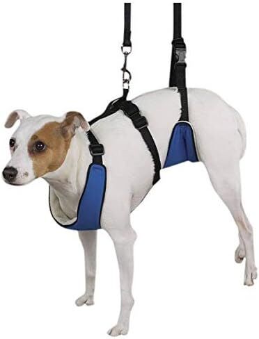 Guardian Gear Nylon Lift and Lead 4-in-1 Dog Harness, Small, Blue in Saudi Arabia