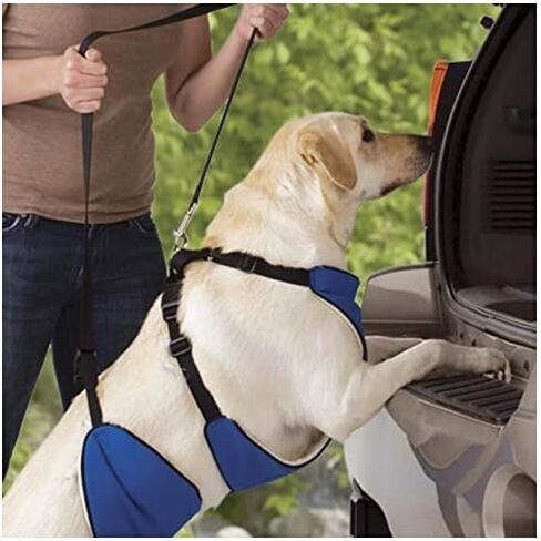 Guardian Gear Nylon Lift and Lead 4-in-1 Dog Harness, Small, Blue in Saudi Arabia
