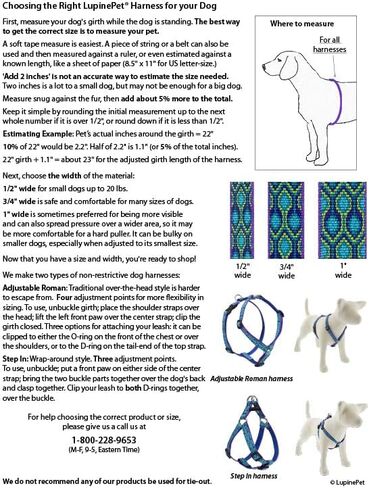 LupinePet Basics 1" Black 19-28" Step In Harness for Medium Dogs in Kuwait