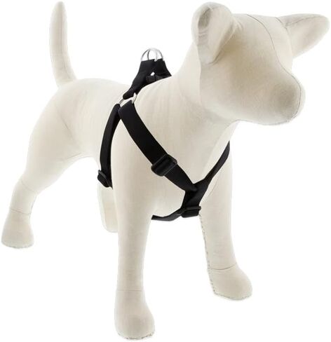 LupinePet Basics 1" Black 19-28" Step In Harness for Medium Dogs in Kuwait
