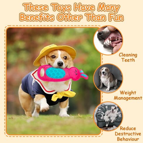 AWOOF Squeaky Dog Toys No Stuffing, 5 Pack Crinkle Stuffless Dog Toys for Small Medium Large Dogs, Durable Puppy Chew Toys for Aggressive Chewer Interactive Dog Toys for Boredom and Stimulating in Kuwait