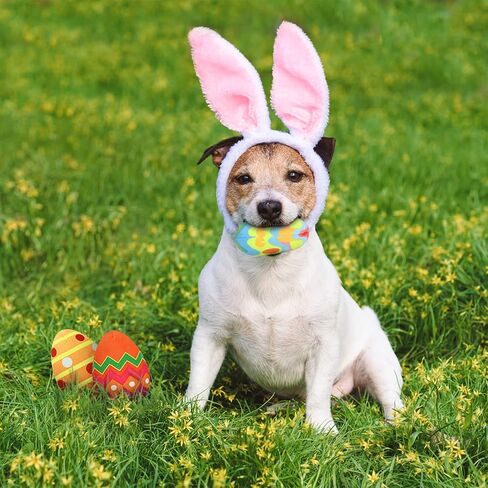 YUEPET 3 Pack Easter Egg Dog Toys, Squeaky Dog Chew Toys for Cleaning Teeth and Relieving Anxiety, Plush Dog Toy Easter Gifts for Puppies Small Medium Dogs in Kuwait